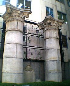 ����F�̌���