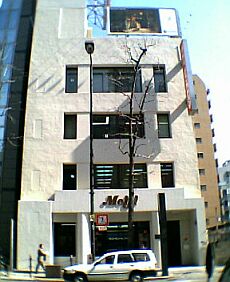 ����F�̌���