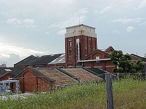 �������̌�����ɂł�