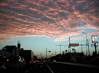 ���ʂ̗[�Ă�