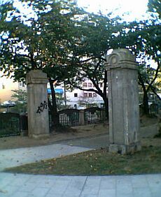 ���������}���̖�