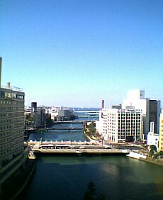 ���������ʏ���