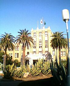 �d���Ȍ���