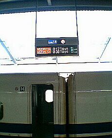 �̂��݂P�P�S�@�荏����